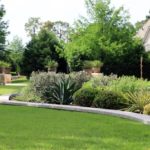 ellis-landscape-1024x683-IMG_0823