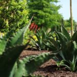 ellis-landscape-1024x683-IMG_0830