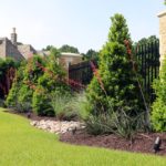 ellis-landscape-1024x683-IMG_0842