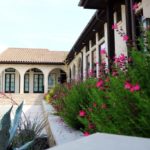 ellis-landscape-1024x683-IMG_0859