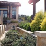 ellis-landscape-1024x683-IMG_0865