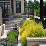 ellis-landscape-1024x683-IMG_0872