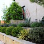 ellis-landscape-1024x683-IMG_0891