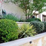 ellis-landscape-1024x683-IMG_0930