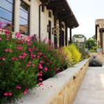 ellis-landscape-1024x683-IMG_0938