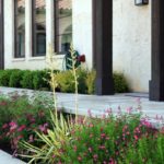 ellis-landscape-1024x683-IMG_0952