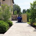 ellis-landscape-1024x683-IMG_0981