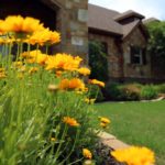 ellis-landscape-1024x683-IMG_1051