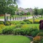 ellis-landscape-1024x683-IMG_1058