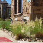 ellis-landscape-1024x683-IMG_1248