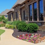 ellis-landscape-1024x683-IMG_1255