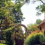 ellis-landscape-1024x683-IMG_1348