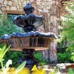 ellis-landscape-1024x683-IMG_1363