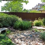 ellis-landscape-1024x683-IMG_1422