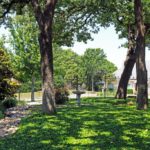 ellis-landscape-1024x683-IMG_1423