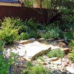 ellis-landscape-1024x683-IMG_1427