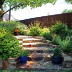 ellis-landscape-1024x683-IMG_1447