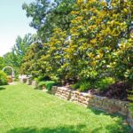 ellis-landscape-1024x683-IMG_1459