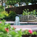 ellis-landscape-1024x683-IMG_1551