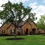 ellis-landscape-1024x683-IMG_1594