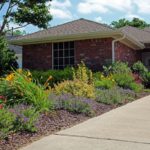 ellis-landscape-1024x683-IMG_1814