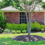 ellis-landscape-1024x683-IMG_1843