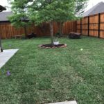 ellis-landscape-gallery-pc-13