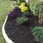 ellis-landscape-gallery-pc-2