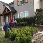 ellis-landscape-gallery-pc-24