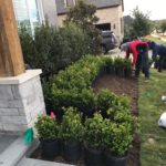 ellis-landscape-gallery-pc-25