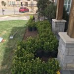 ellis-landscape-gallery-pc-26