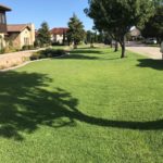 ellis-landscape-gallery-pc-28