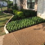 ellis-landscape-gallery-pc-3