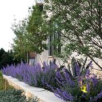 ellis-landscape-gallery-pc-32