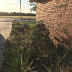 ellis-landscape-gallery-pc-40