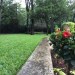 ellis-landscape-gallery-pc-42