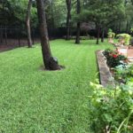 ellis-landscape-gallery-pc-43