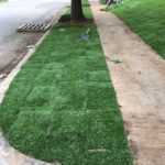 ellis-landscape-gallery-pc-5