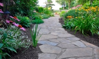 Landscape Design Service