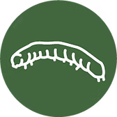 ARMYWORMS