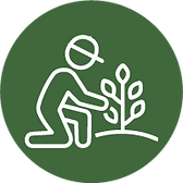 TREE & SHRUB CARE